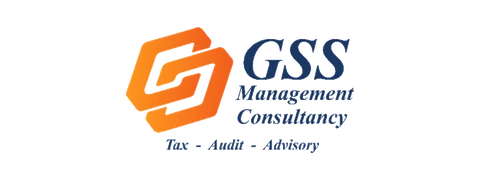 GSS Management Consultancy logo